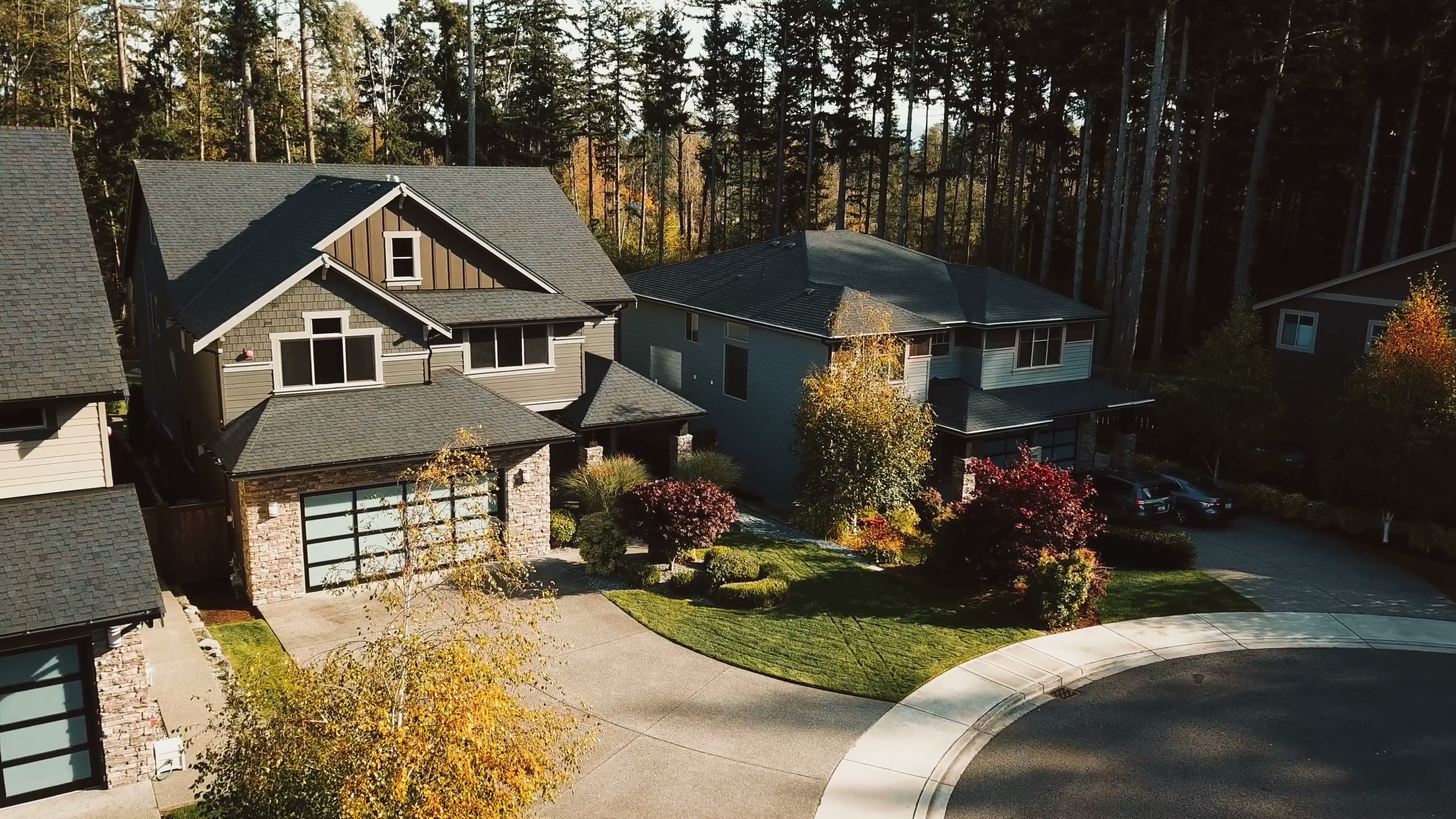 An aerial view of autumn Craftsman homes on a cul-de-sac under tall firs